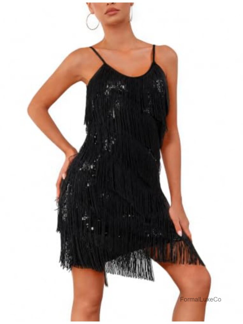 Sequin Fringe Latin Dance Dress Gatsby 1920s Cocktail Flapper Salsa Costume